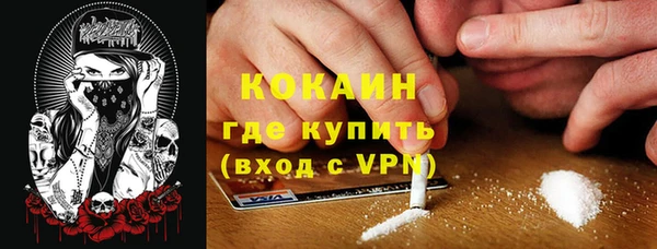 дживик Пестово