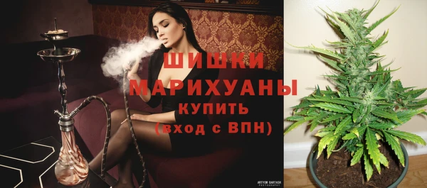 дживик Пестово