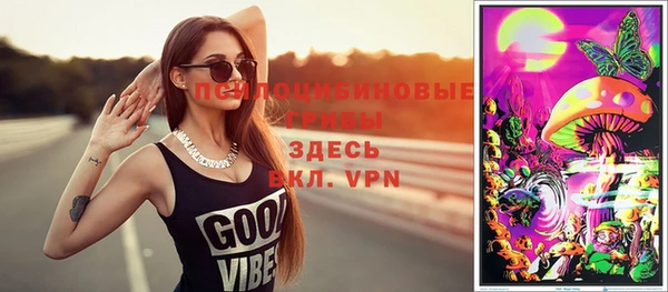 дживик Пестово